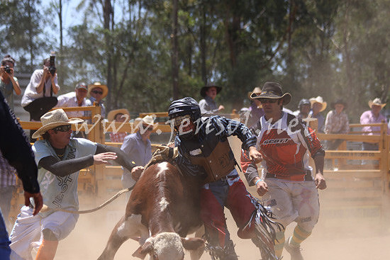 pictonrodeo2013kjs_0012