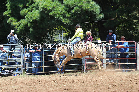Taralga2015_3865