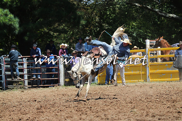 Taralga2015_3982
