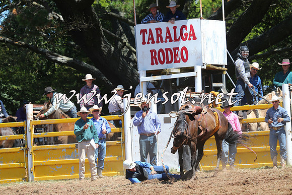Taralga2015_4097