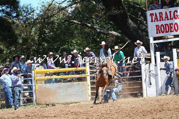 Taralga2015_3941