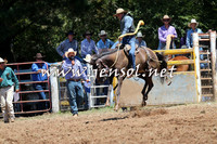Taralga2015_3752