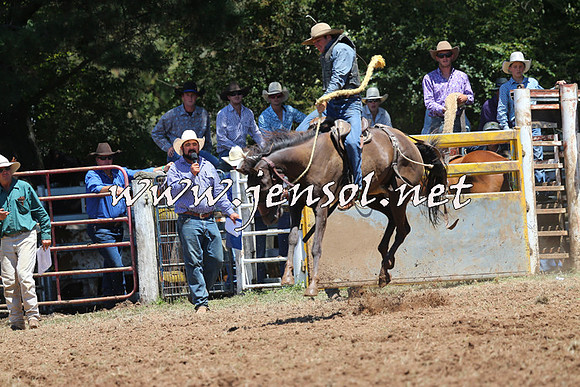 Taralga2015_3752