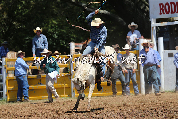 Taralga2015_3988