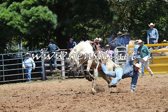 Taralga2015_3986