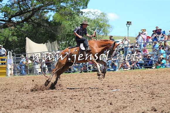 Taralga2015_4036