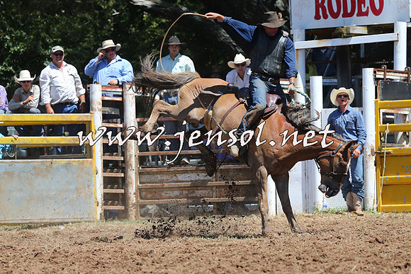 Taralga2015_4185