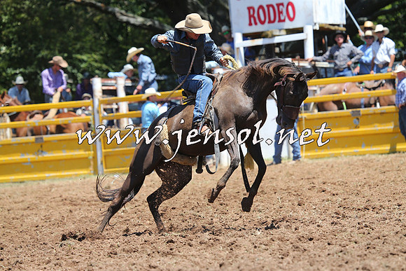 Taralga2015_3766