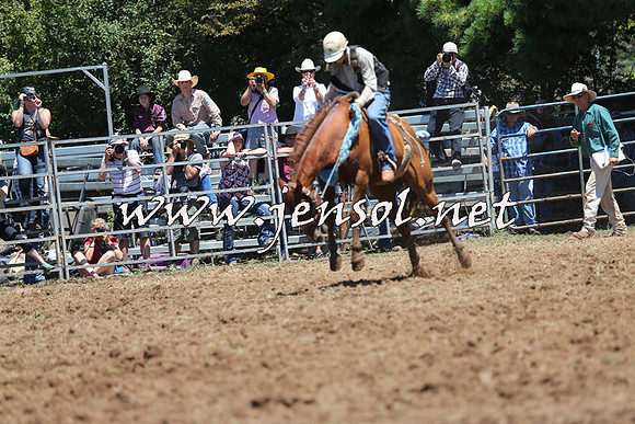 Taralga2015_3788