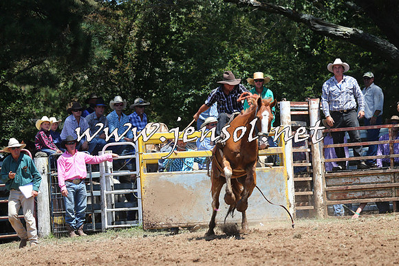 Taralga2015_4012