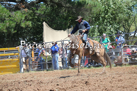 Taralga2015_4205