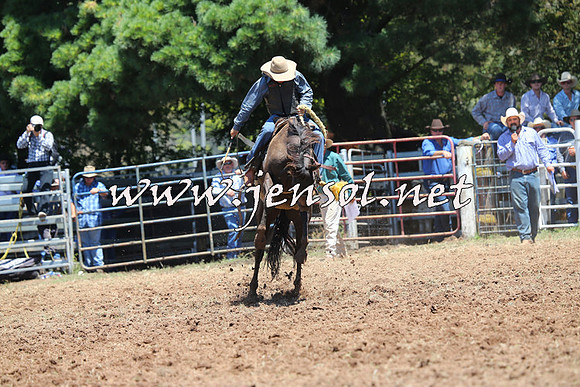 Taralga2015_3748