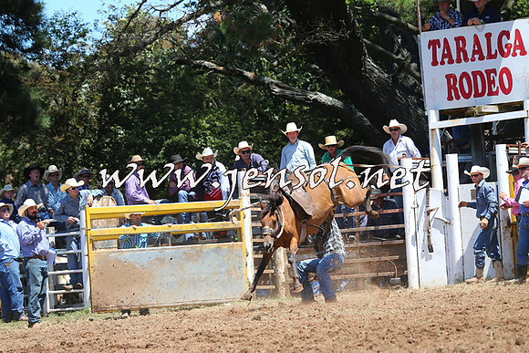 Taralga2015_3946