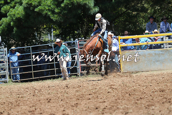 Taralga2015_3784