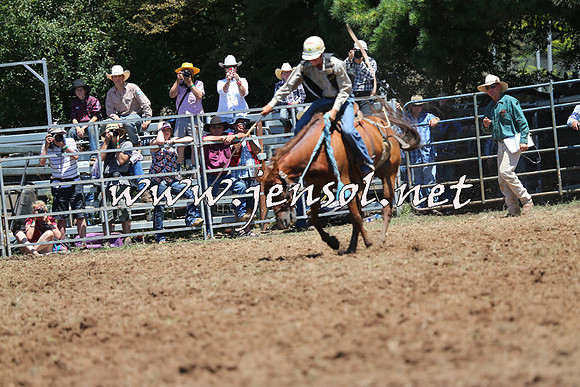 Taralga2015_3790