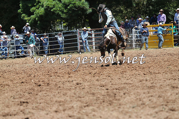 Taralga2015_3893