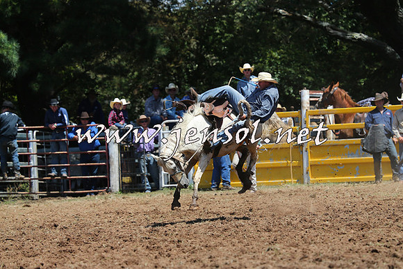 Taralga2015_3983