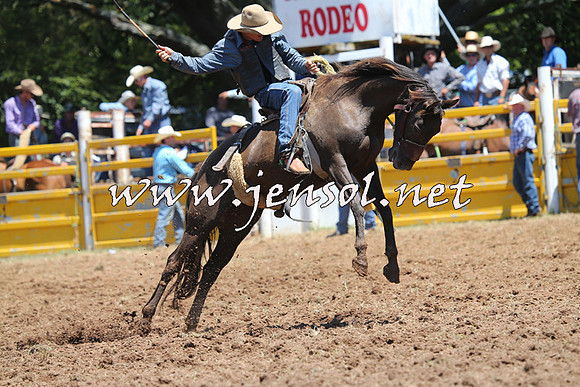 Taralga2015_3762