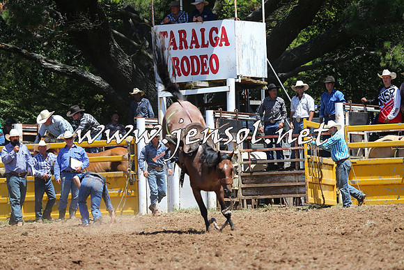 Taralga2015_3842