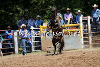 Taralga2015_3736