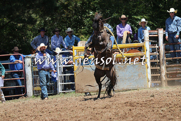 Taralga2015_3736