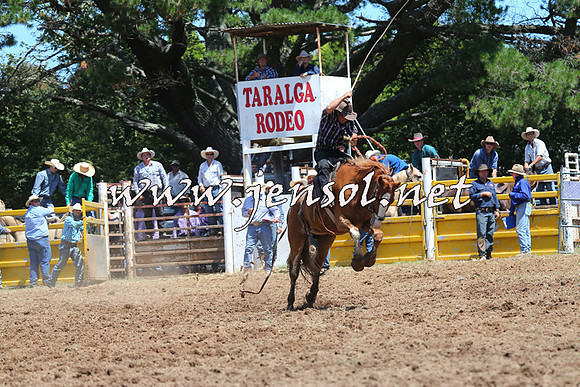 Taralga2015_4016