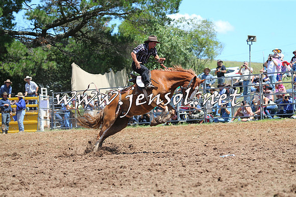Taralga2015_4035