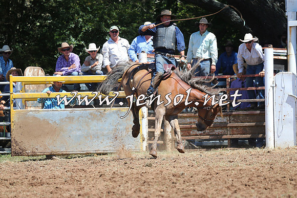 Taralga2015_4170