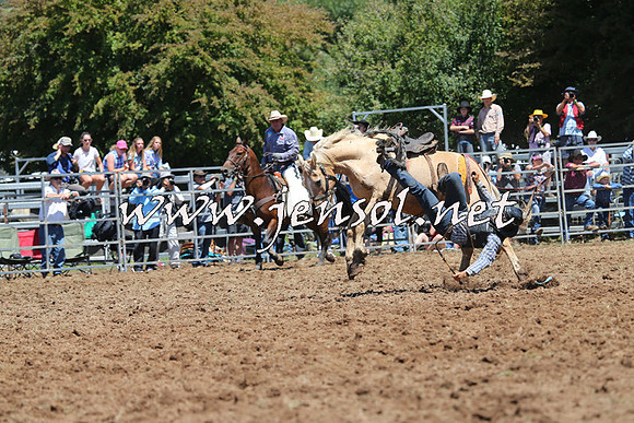 Taralga2015_4121