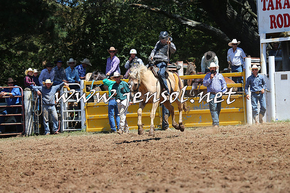Taralga2015_4114