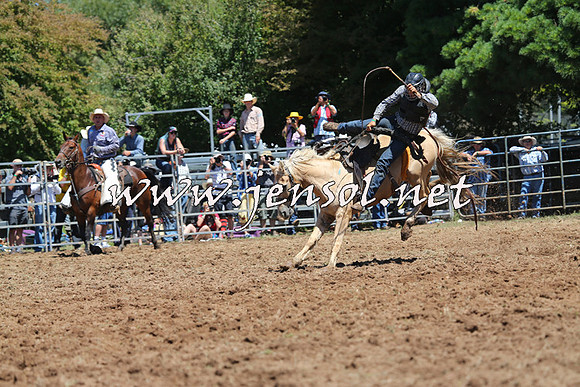 Taralga2015_4125