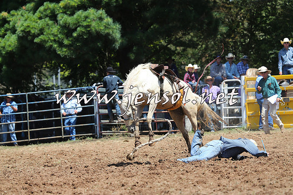 Taralga2015_3987