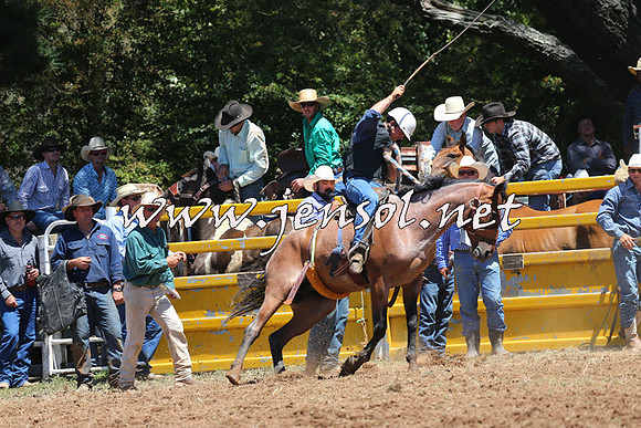 Taralga2015_3817