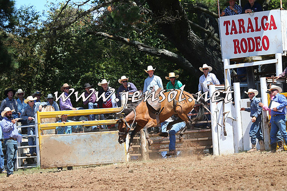 Taralga2015_3945