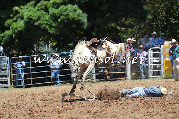 Taralga2015_3997