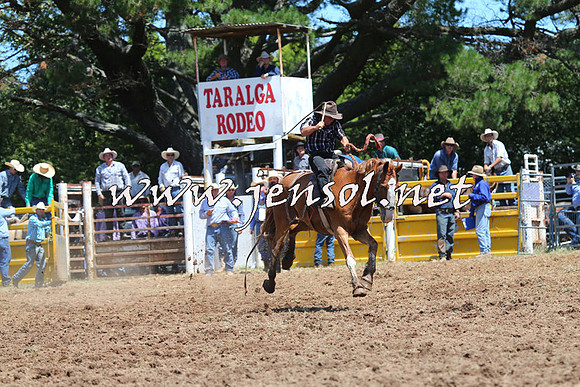 Taralga2015_4020
