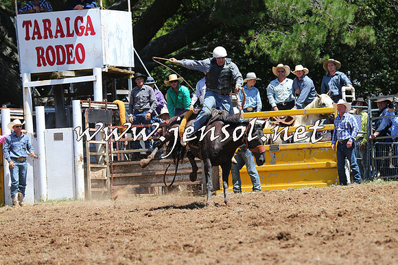 Taralga2015_3951