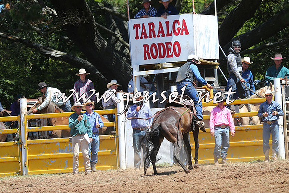 Taralga2015_4094