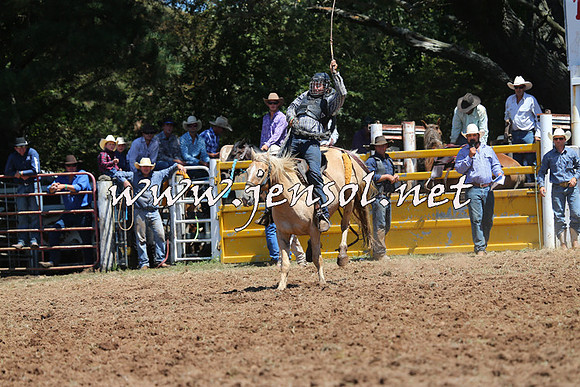 Taralga2015_4116