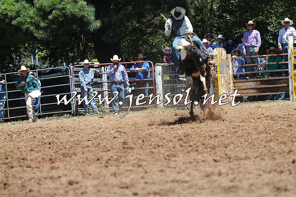 Taralga2015_3881