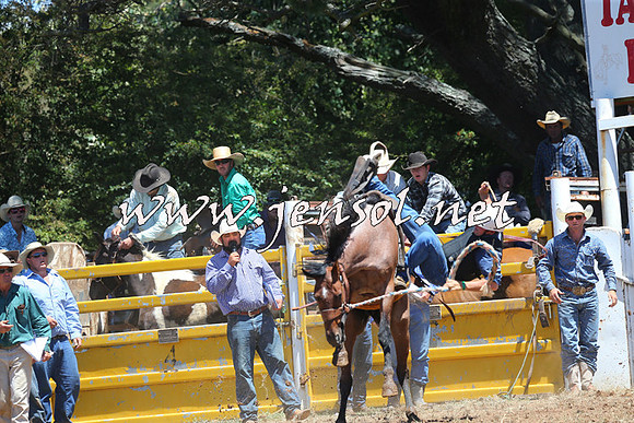 Taralga2015_3831