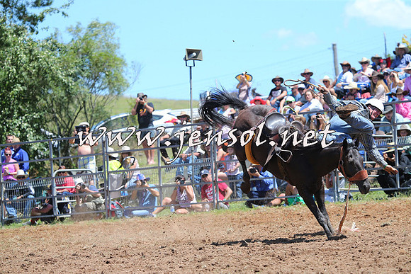 Taralga2015_3964
