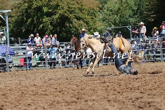 Taralga2015_4119