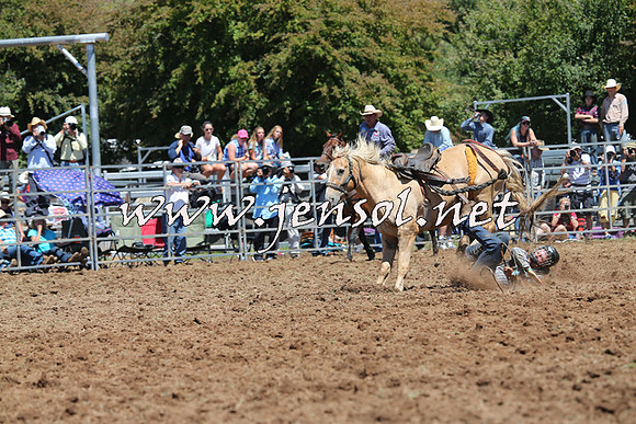 Taralga2015_4122