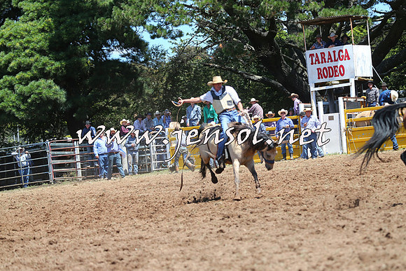Taralga2015_4065