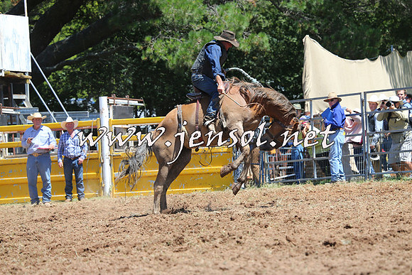Taralga2015_4198