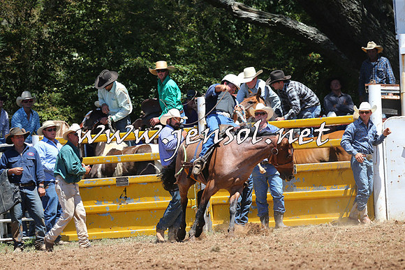 Taralga2015_3824