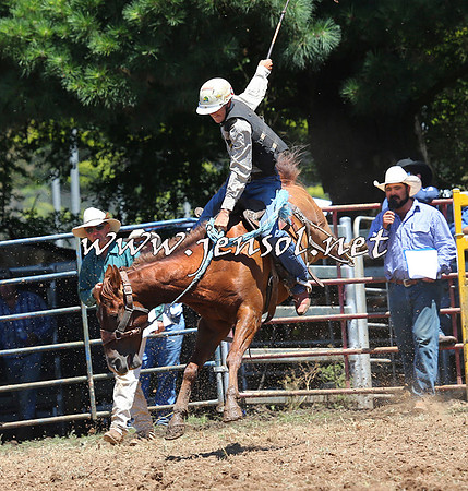 Taralga2015_3782