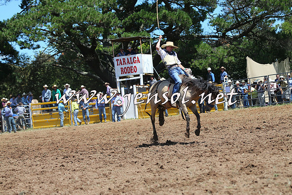 Taralga2015_4071
