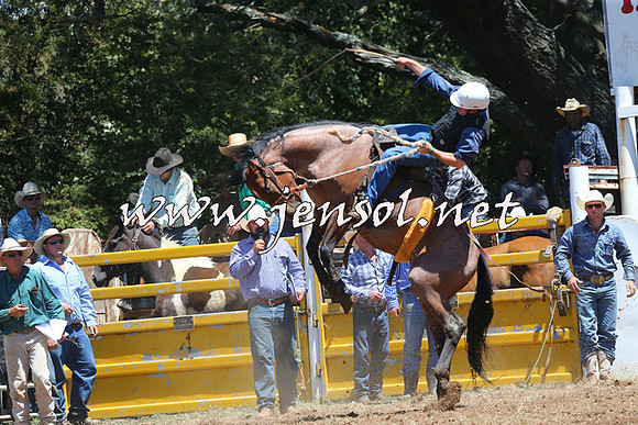 Taralga2015_3839